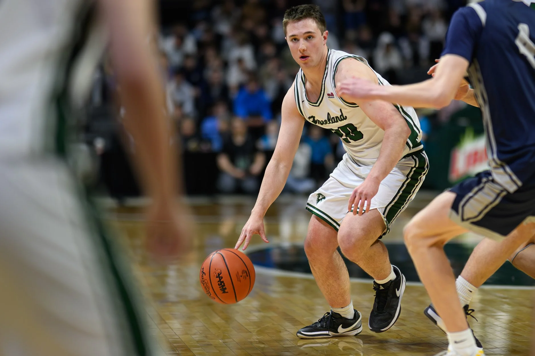 2 LOW RES FREELAND FINAL-33.jpg