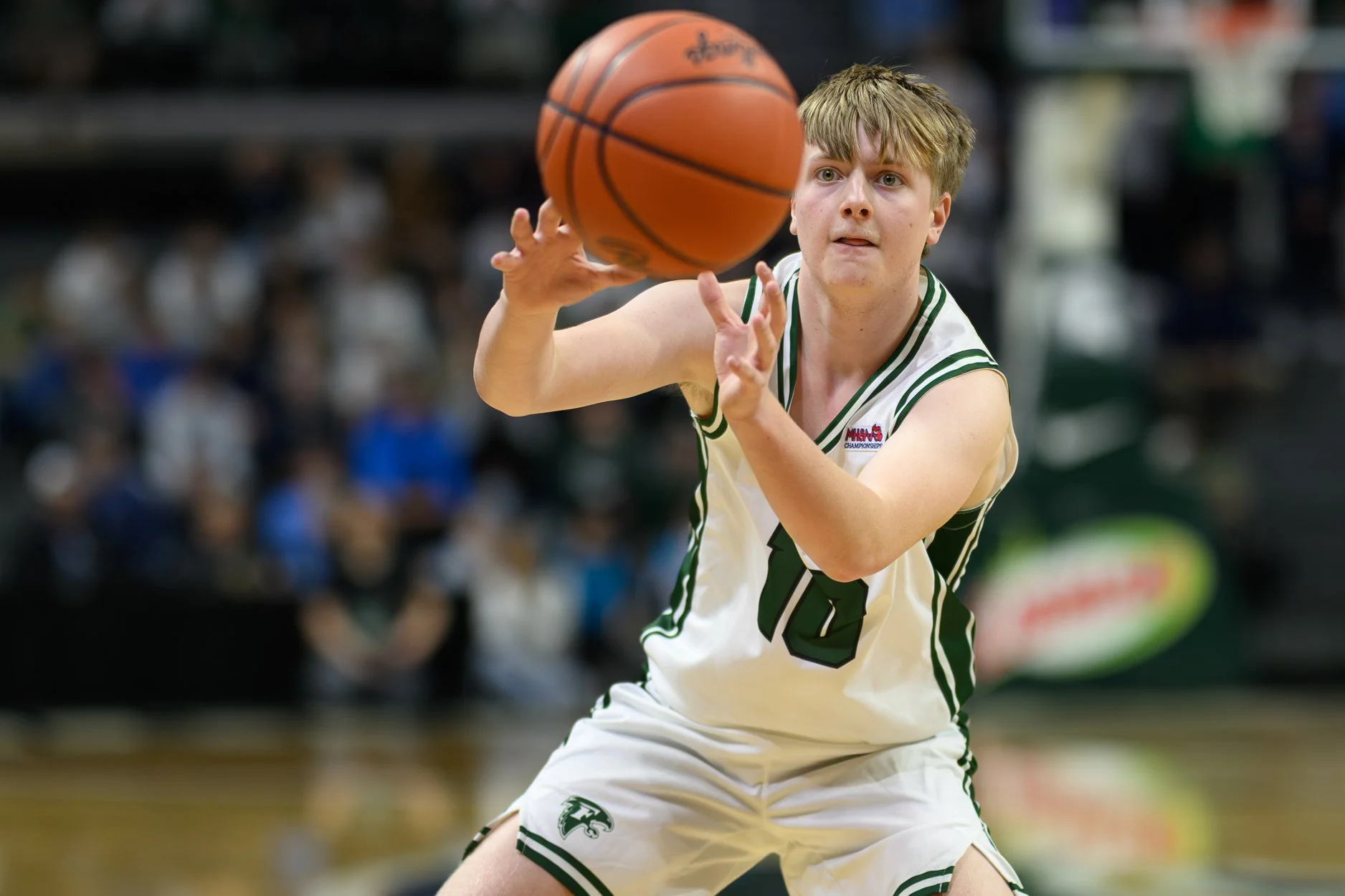 2 LOW RES FREELAND FINAL-34.jpg