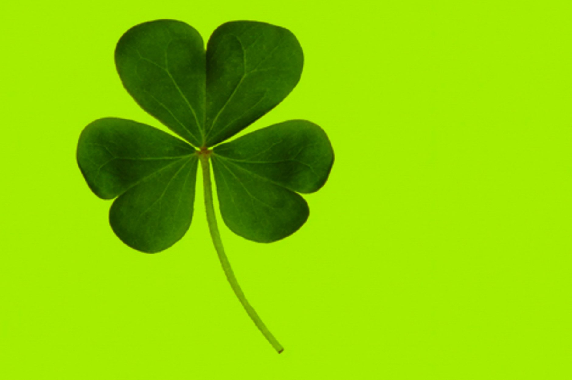 BALLKIDS 2026-1-2.jpg