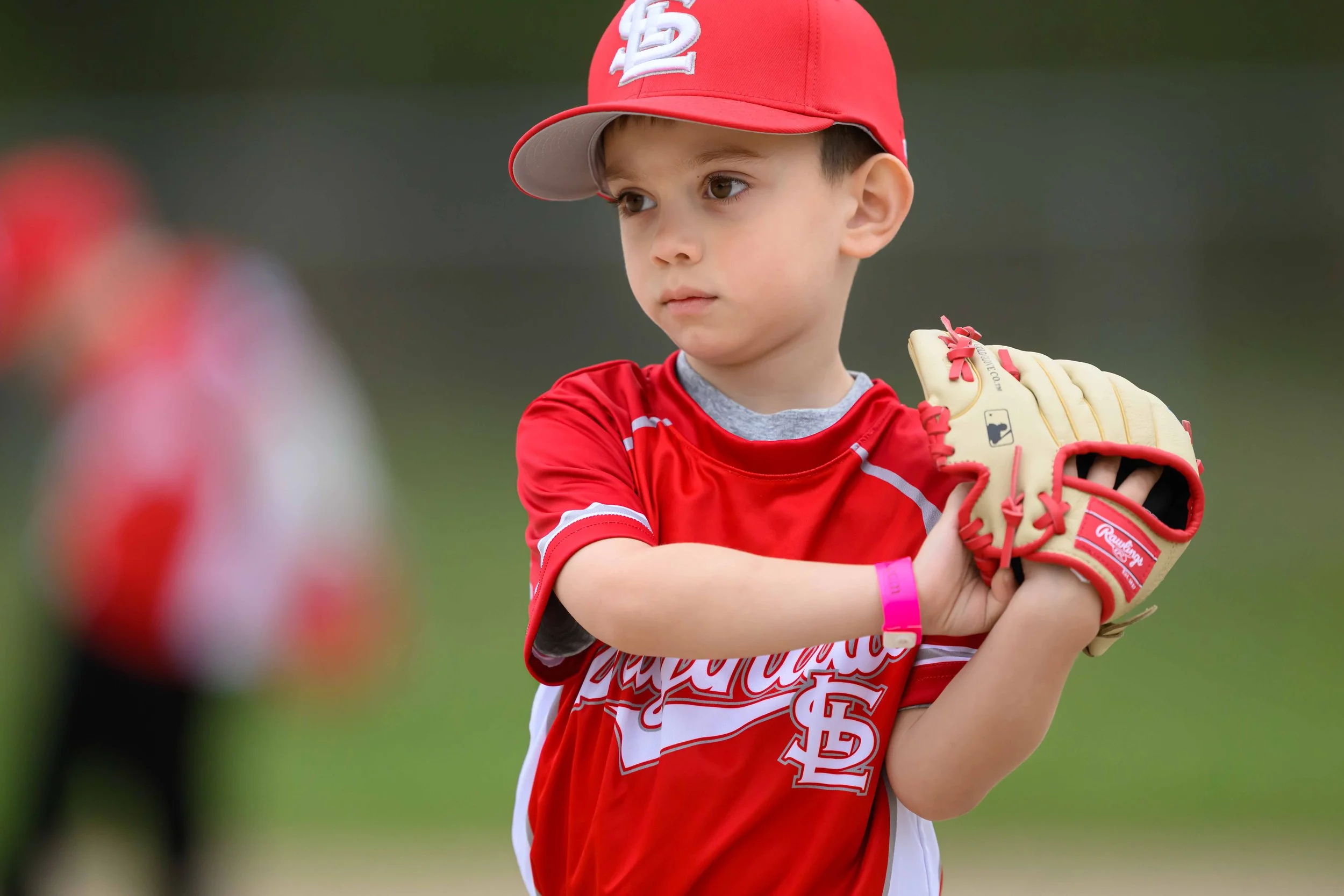 WEB RESOLUTION Set 1 SLL 2026 L-1.jpg