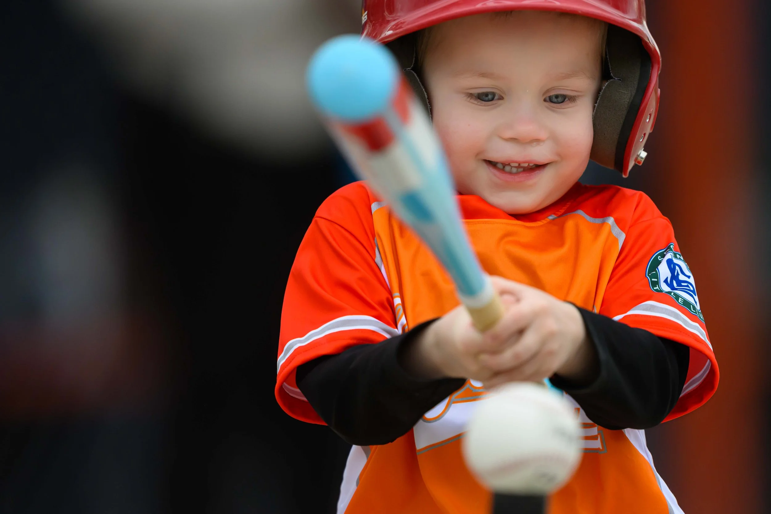 WEB RESOLUTION Set 1 SLL 2026 L-6.jpg