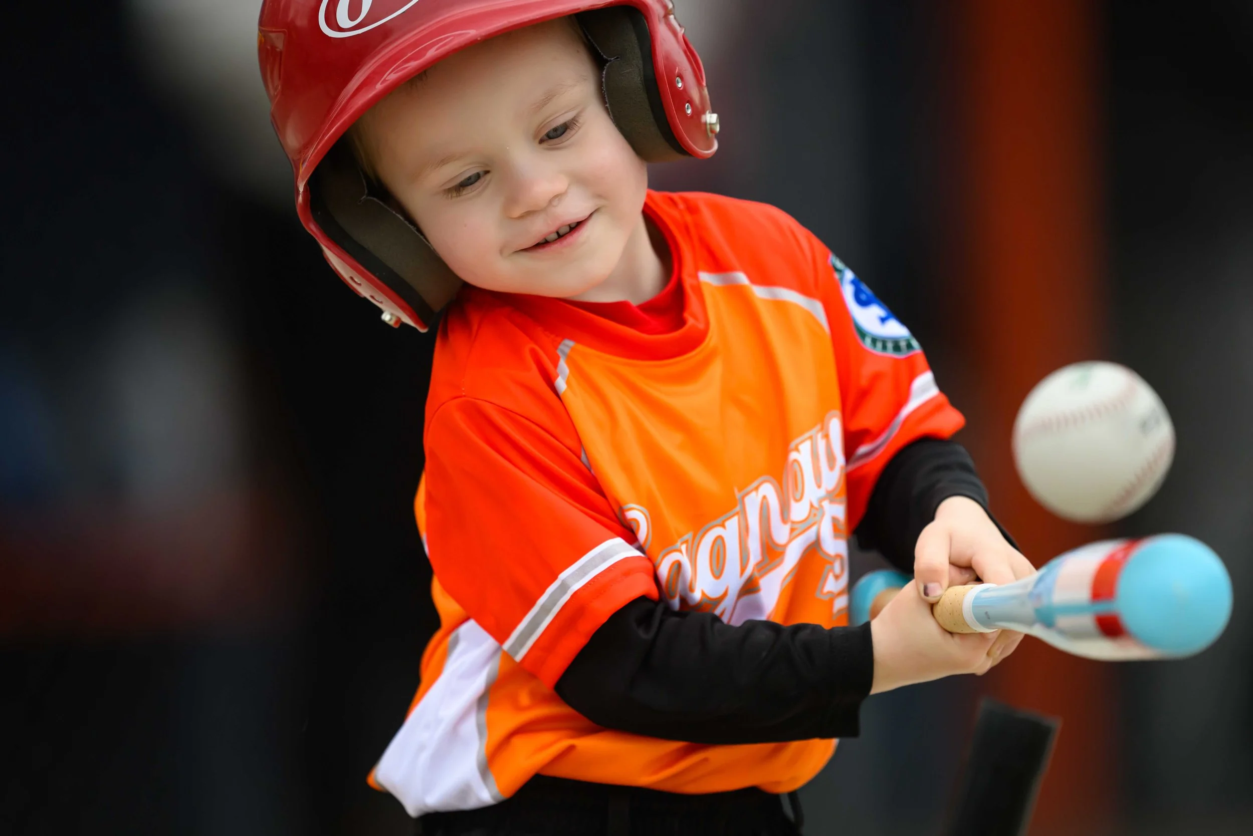 WEB RESOLUTION Set 1 SLL 2026 L-7.jpg