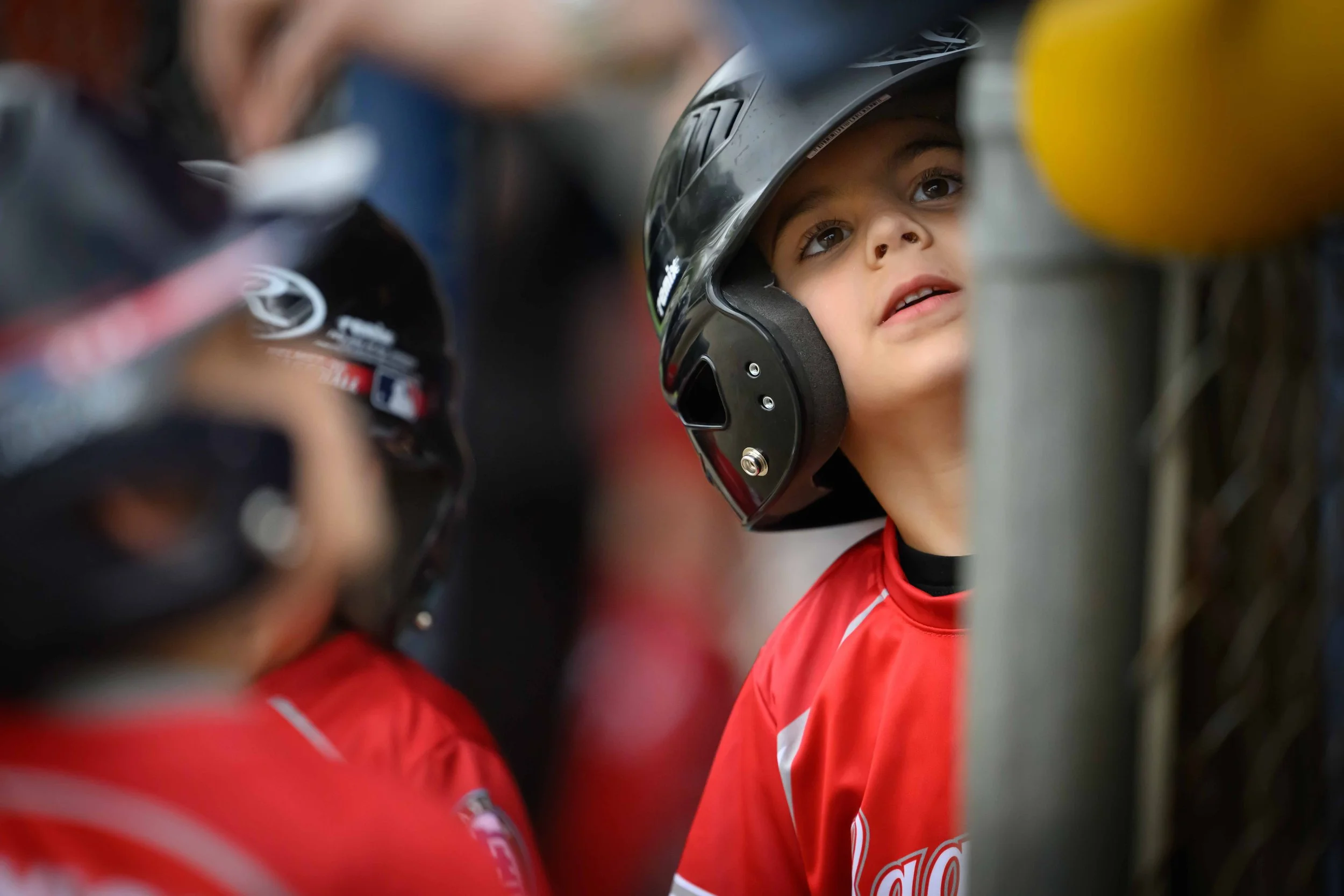 WEB RESOLUTION Set 1 SLL 2026 L-15.jpg