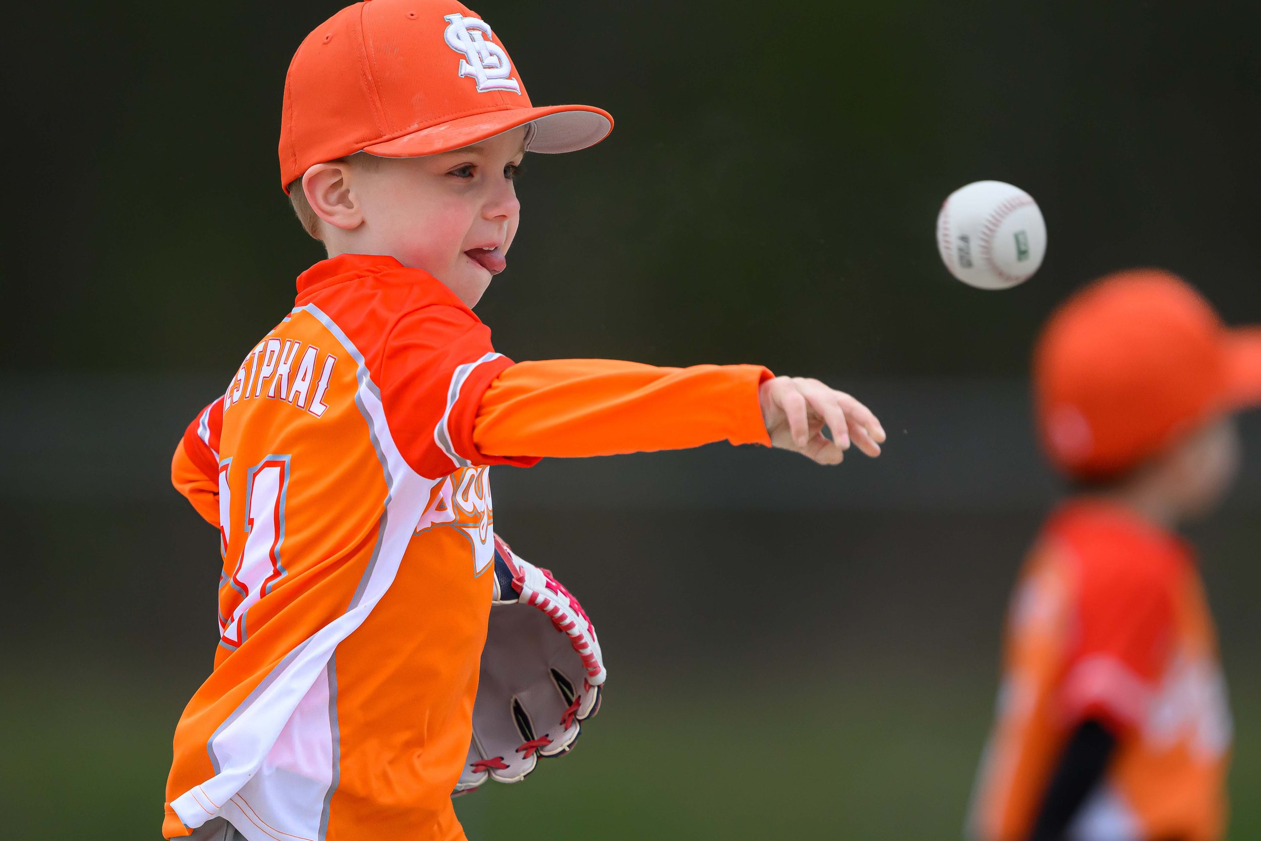 WEB RESOLUTION Set 1 SLL 2026 L-18.jpg