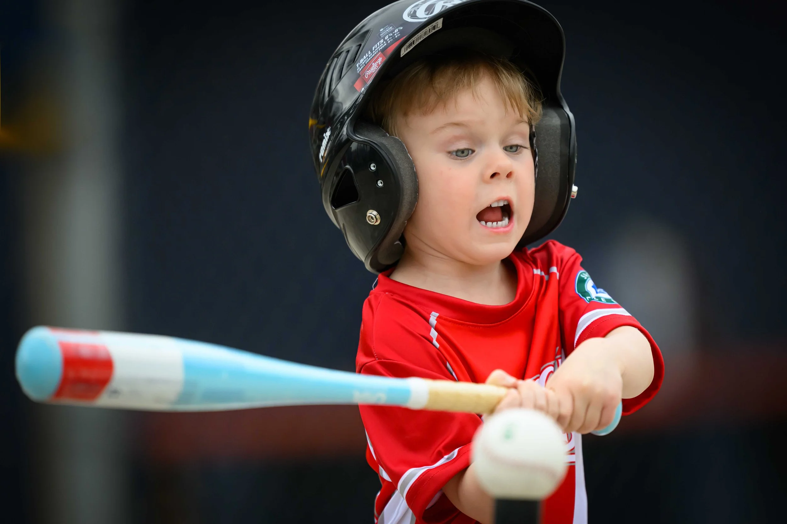 WEB RESOLUTION Set 1 SLL 2026 L-26.jpg