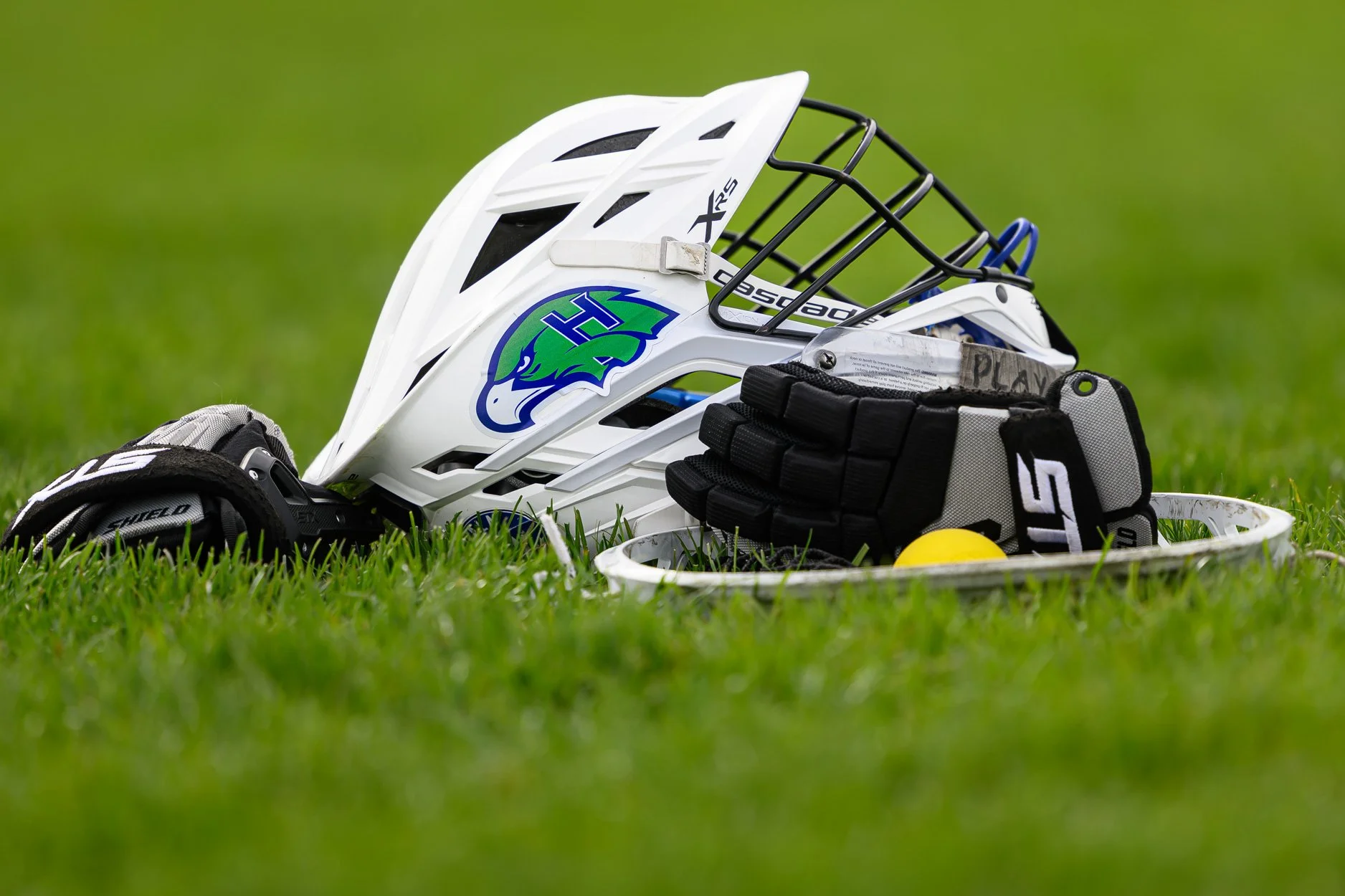 LOW RES HH GLAX 26-2.jpg