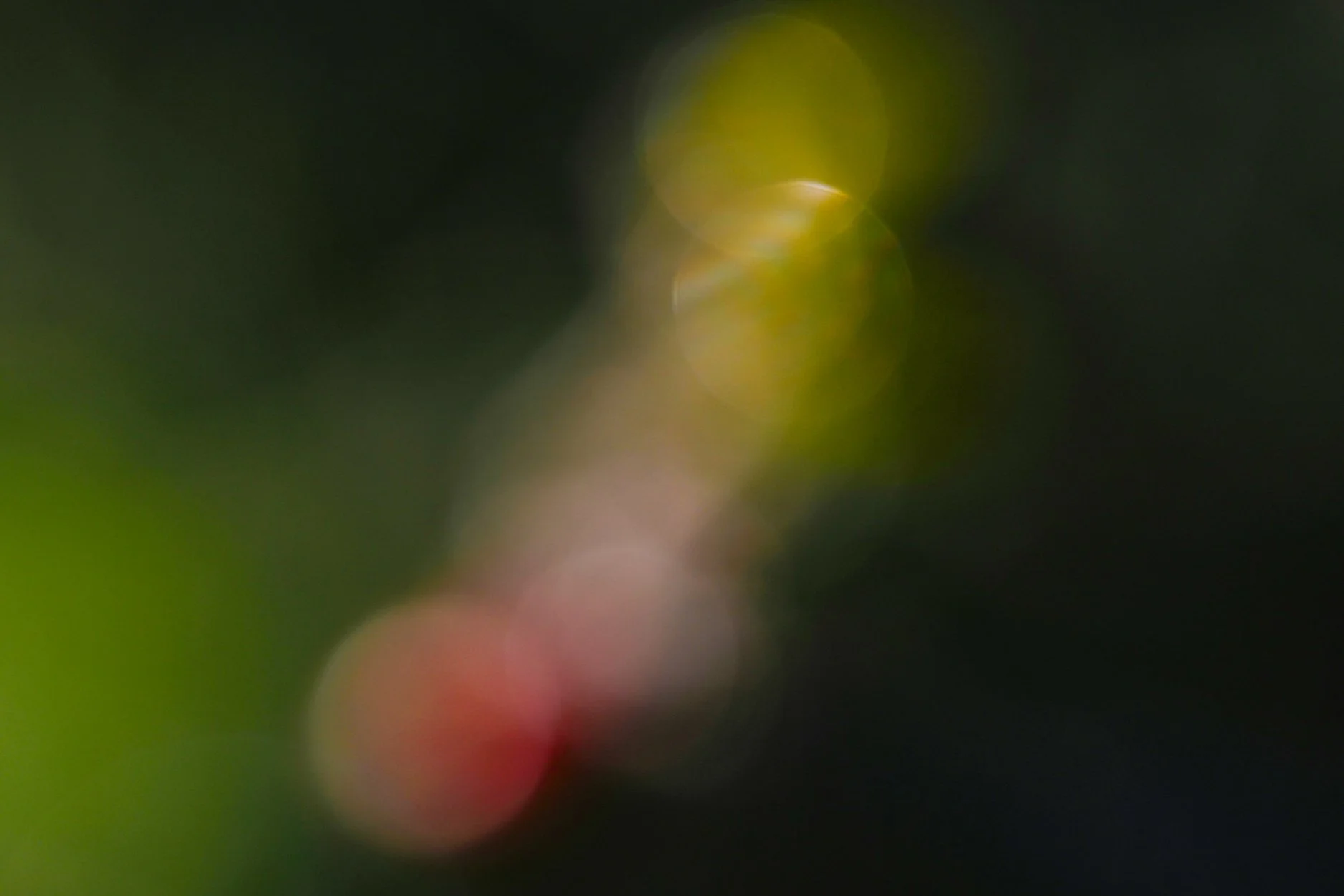 89-ol-1.jpg