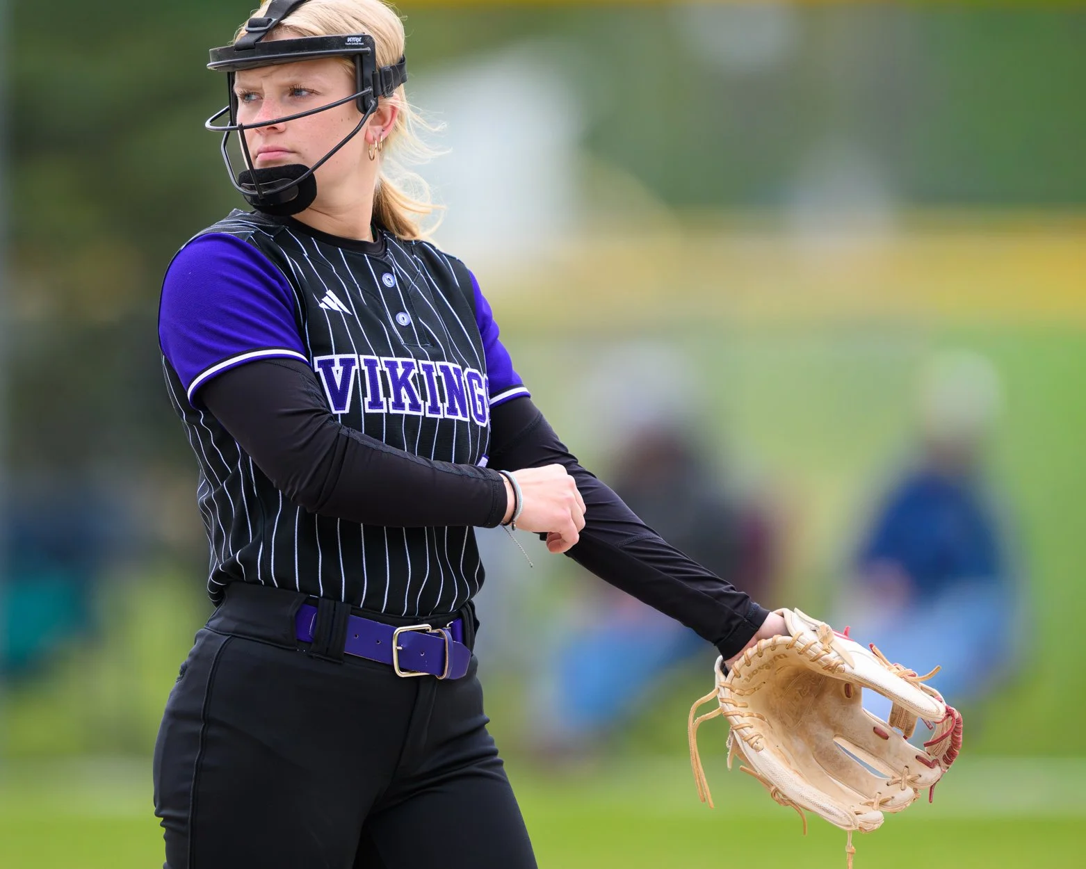 low res SV softball 26-1-14.jpg