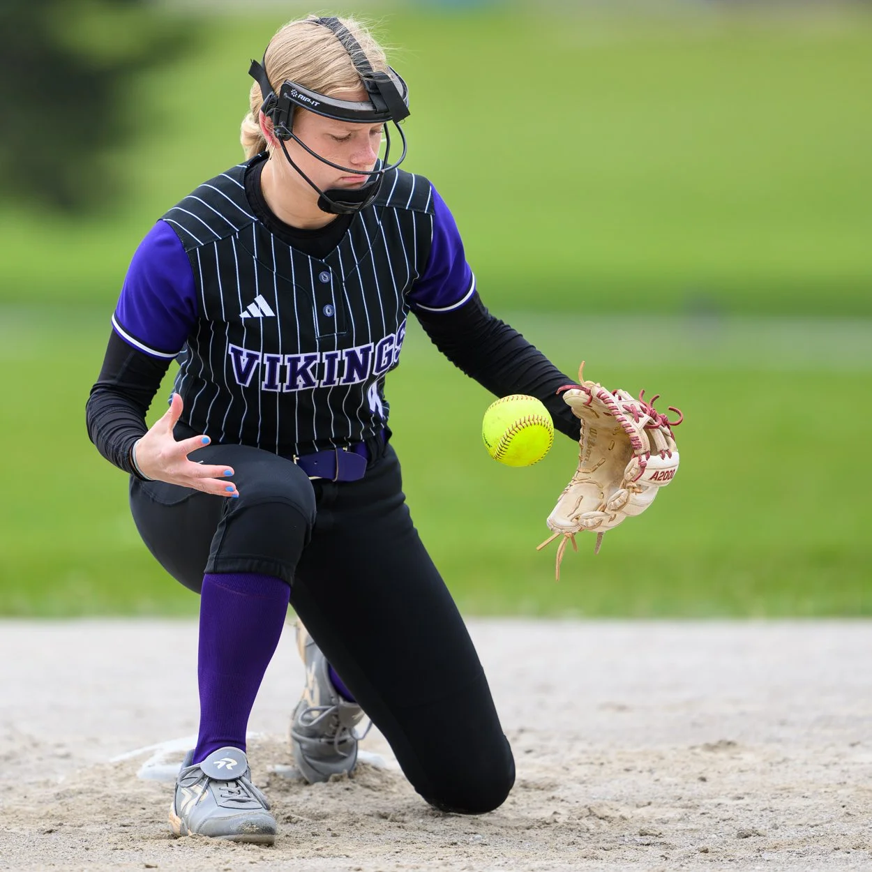 low res SV softball 26-1-15.jpg