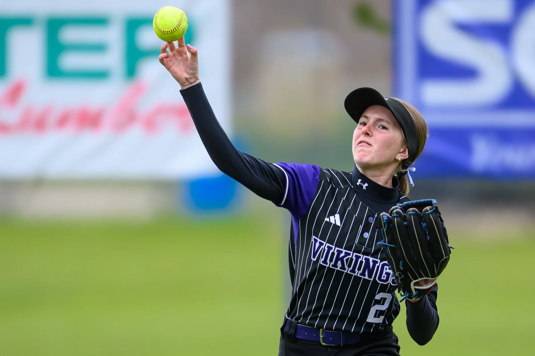 low res SV softball 26-1-16.jpg