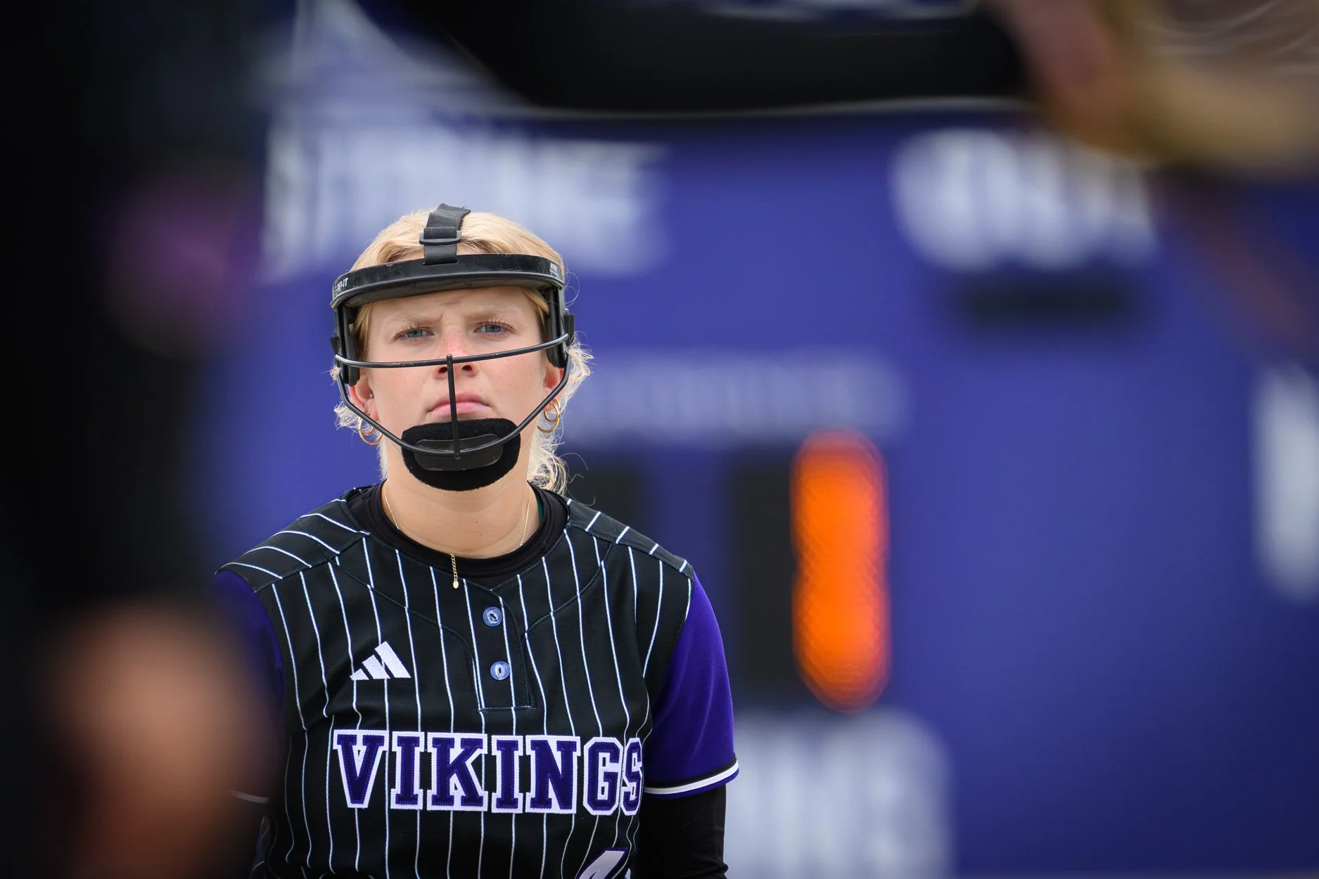 low res SV softball 26-1-30.jpg