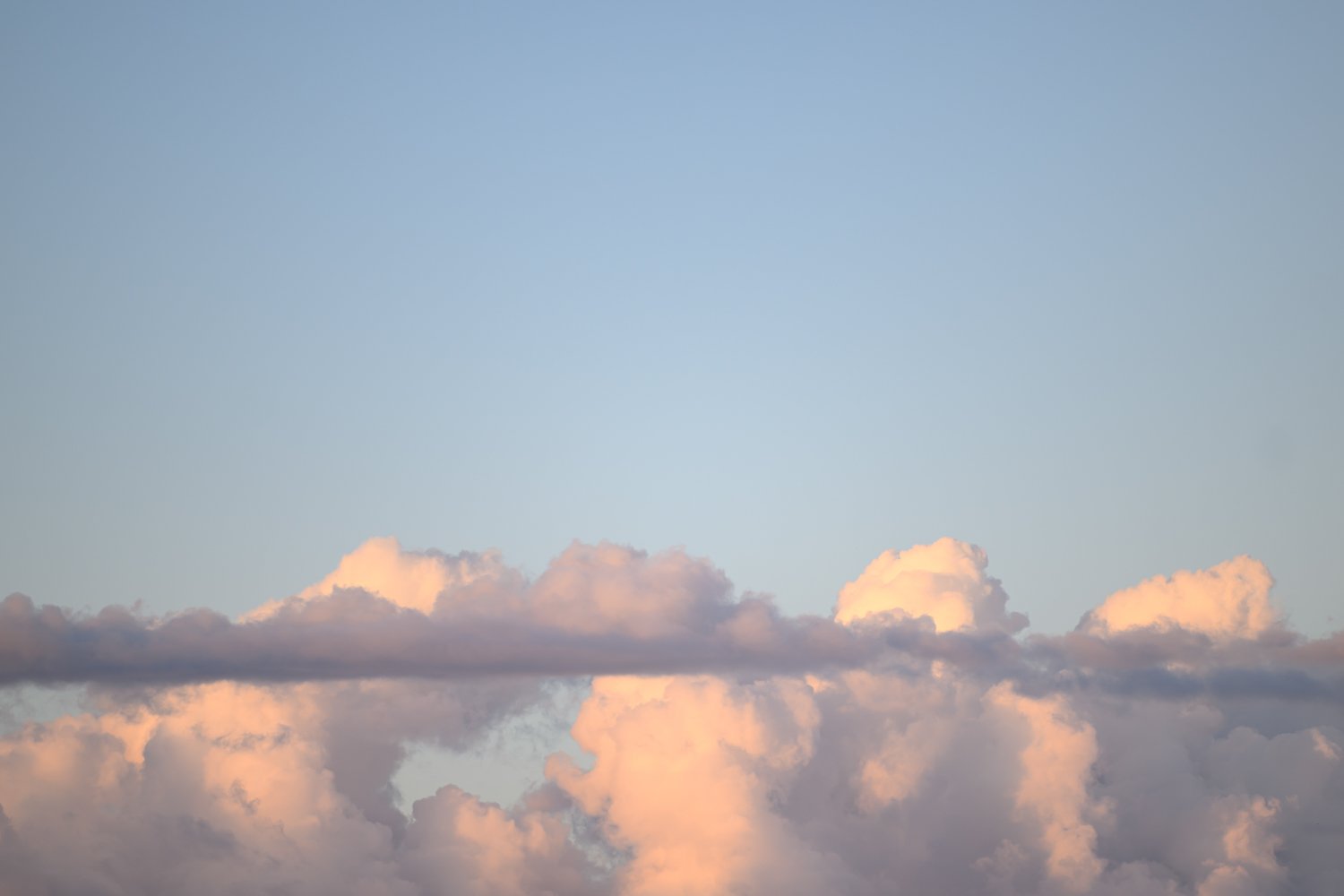 low res bca G1-2026-103.jpg