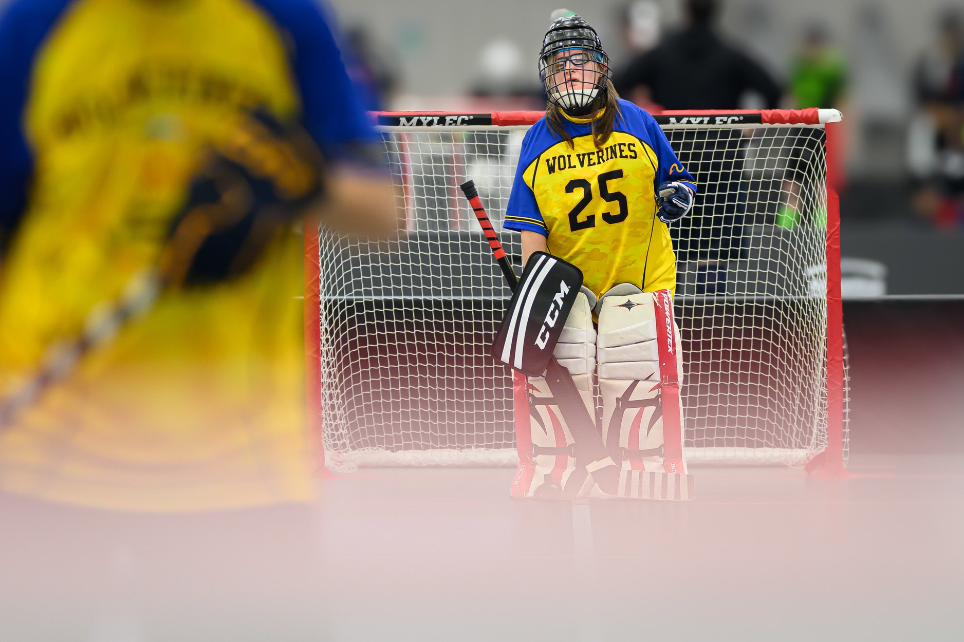 low res poly hockey SOMI 2026 -8.jpg