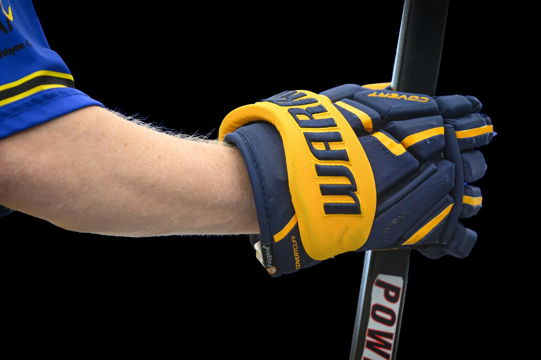 low res poly hockey SOMI 2026 -9.jpg