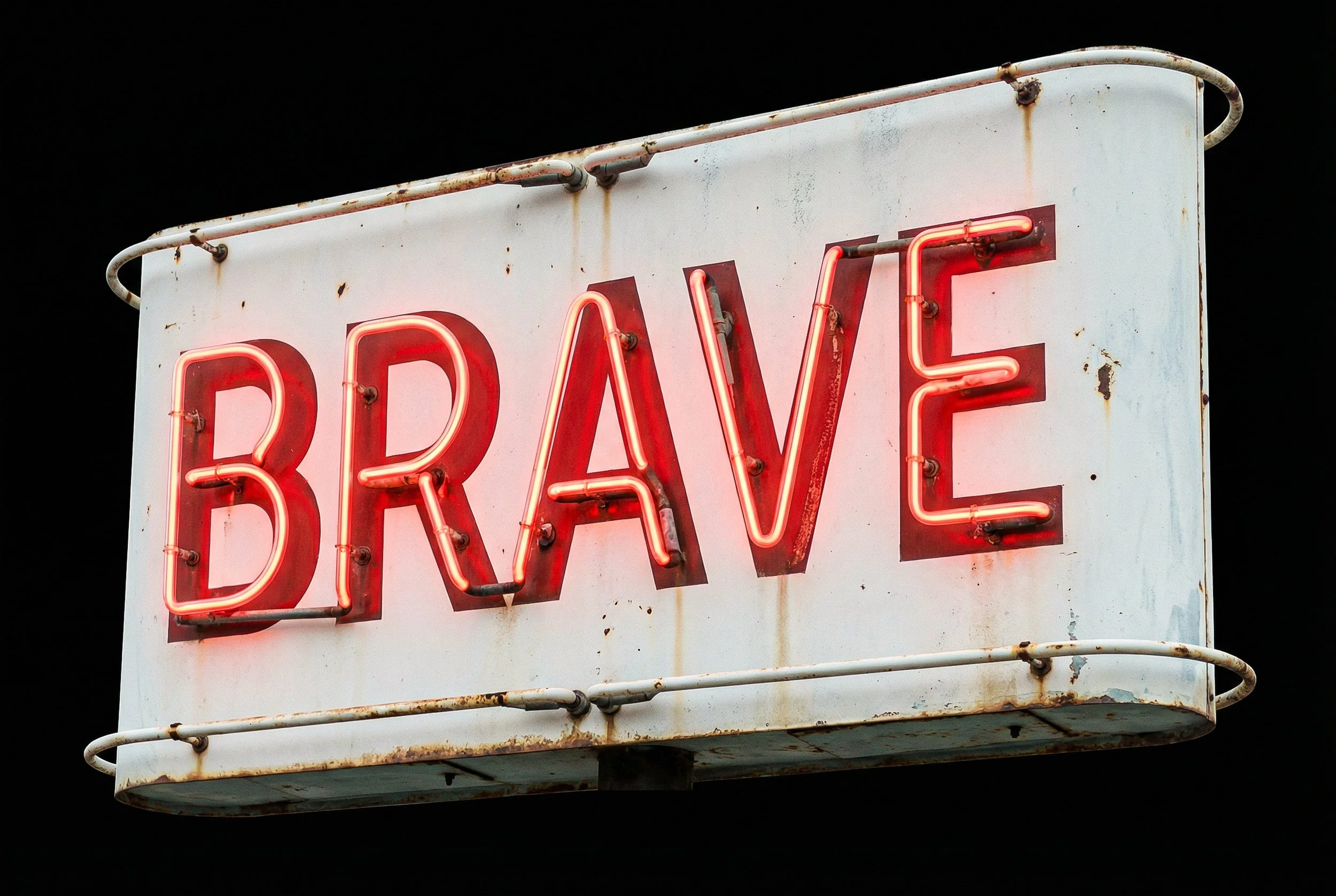 BRAVE-1.jpg