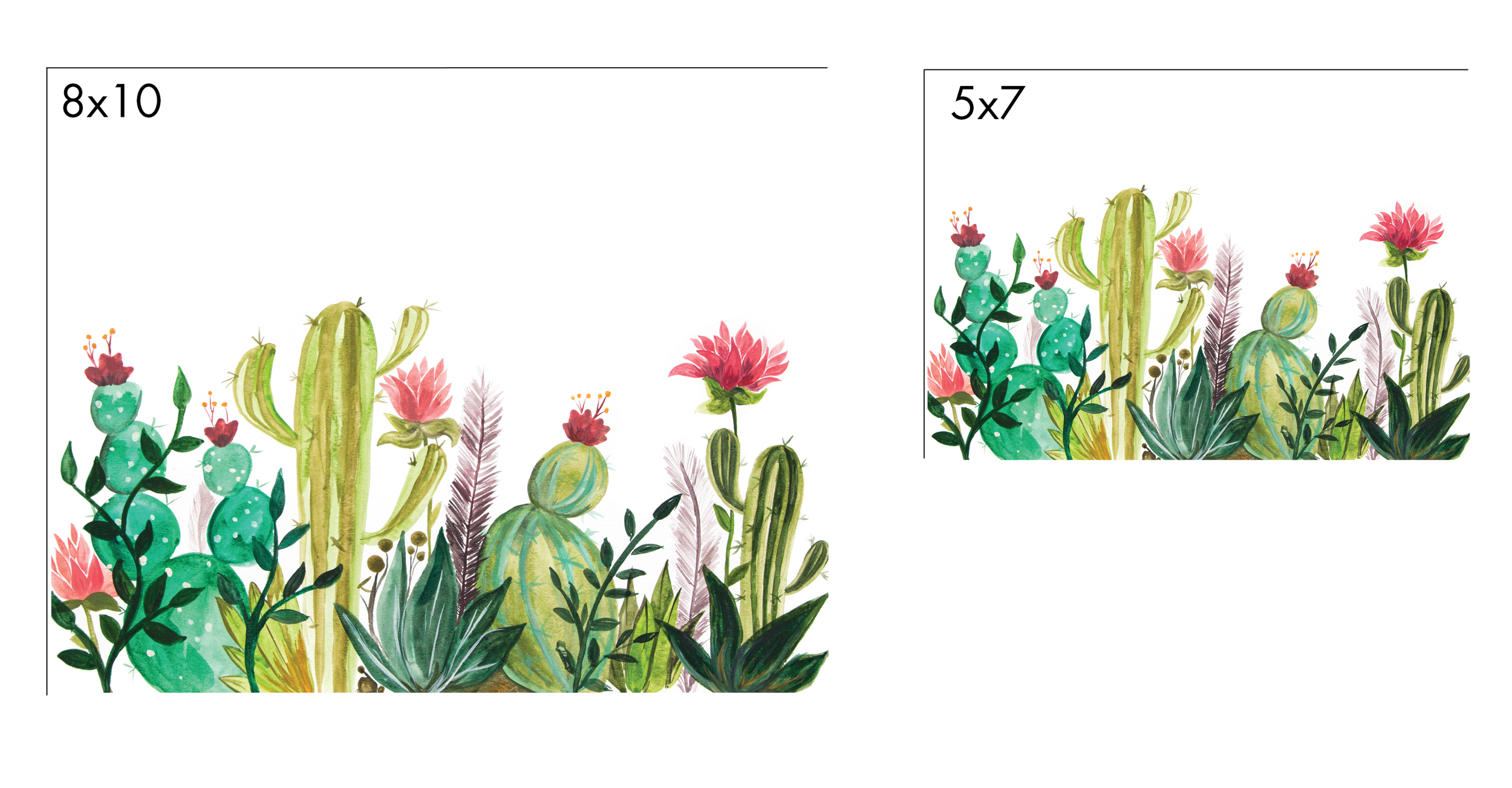 succulent-03.png