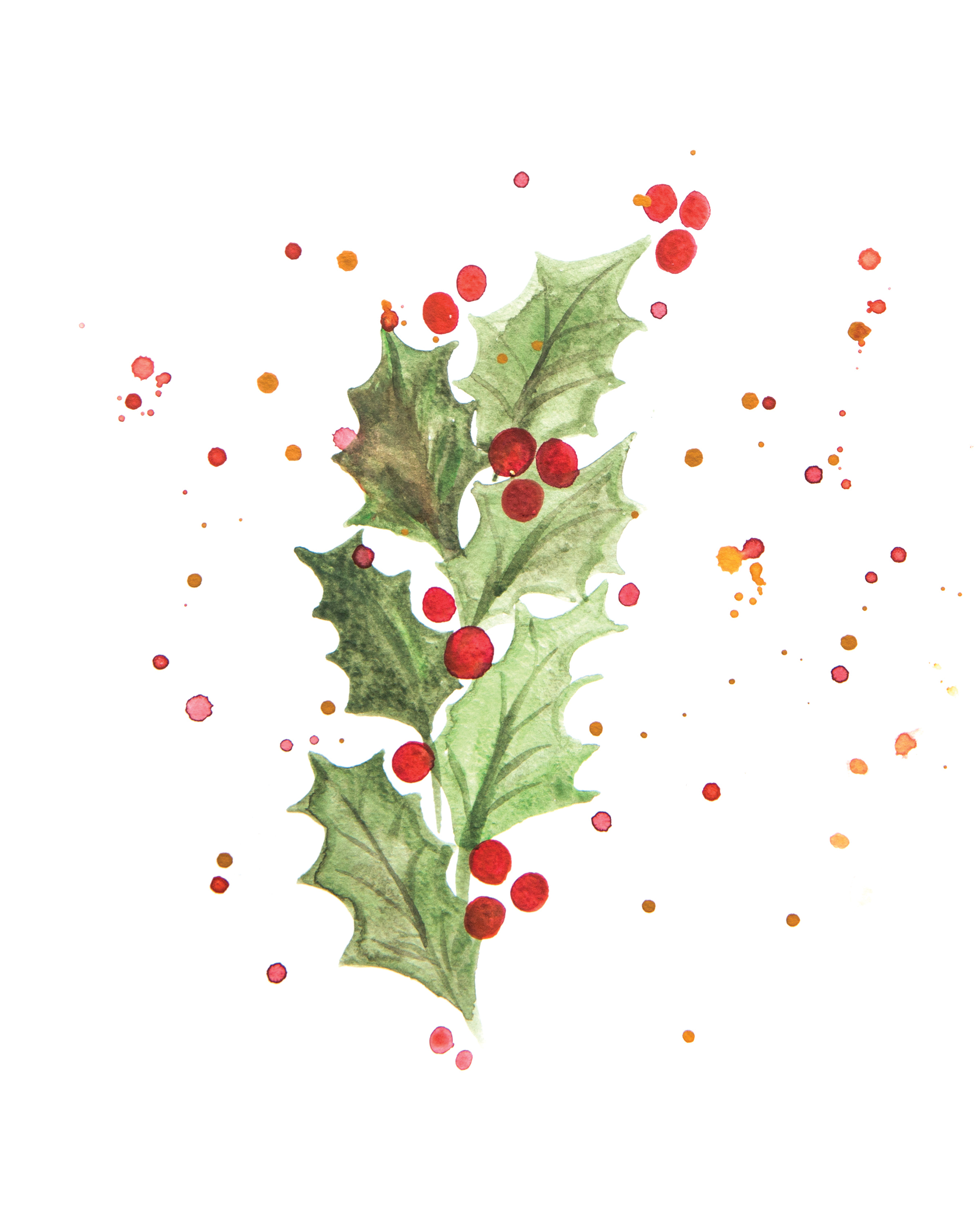 8x10-big-holly.jpg