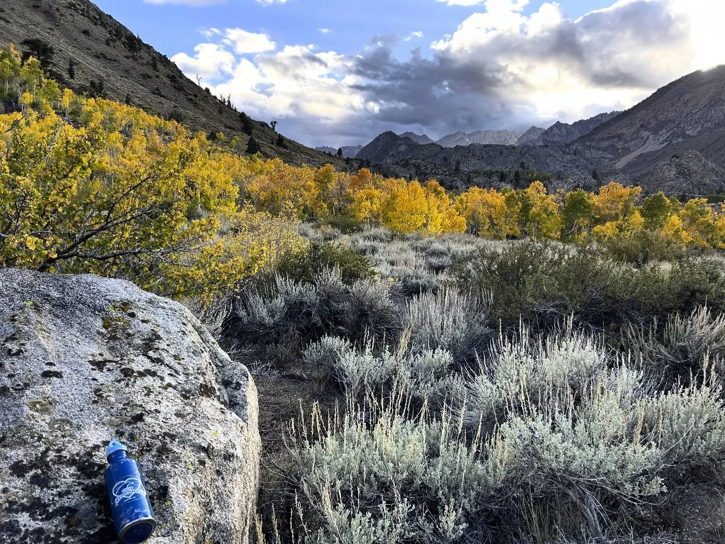 Enjoying fall colors in the eastern Sierras! Thanks for taking us along! #travelingtuesday #travelingwithfriends #surfconnection