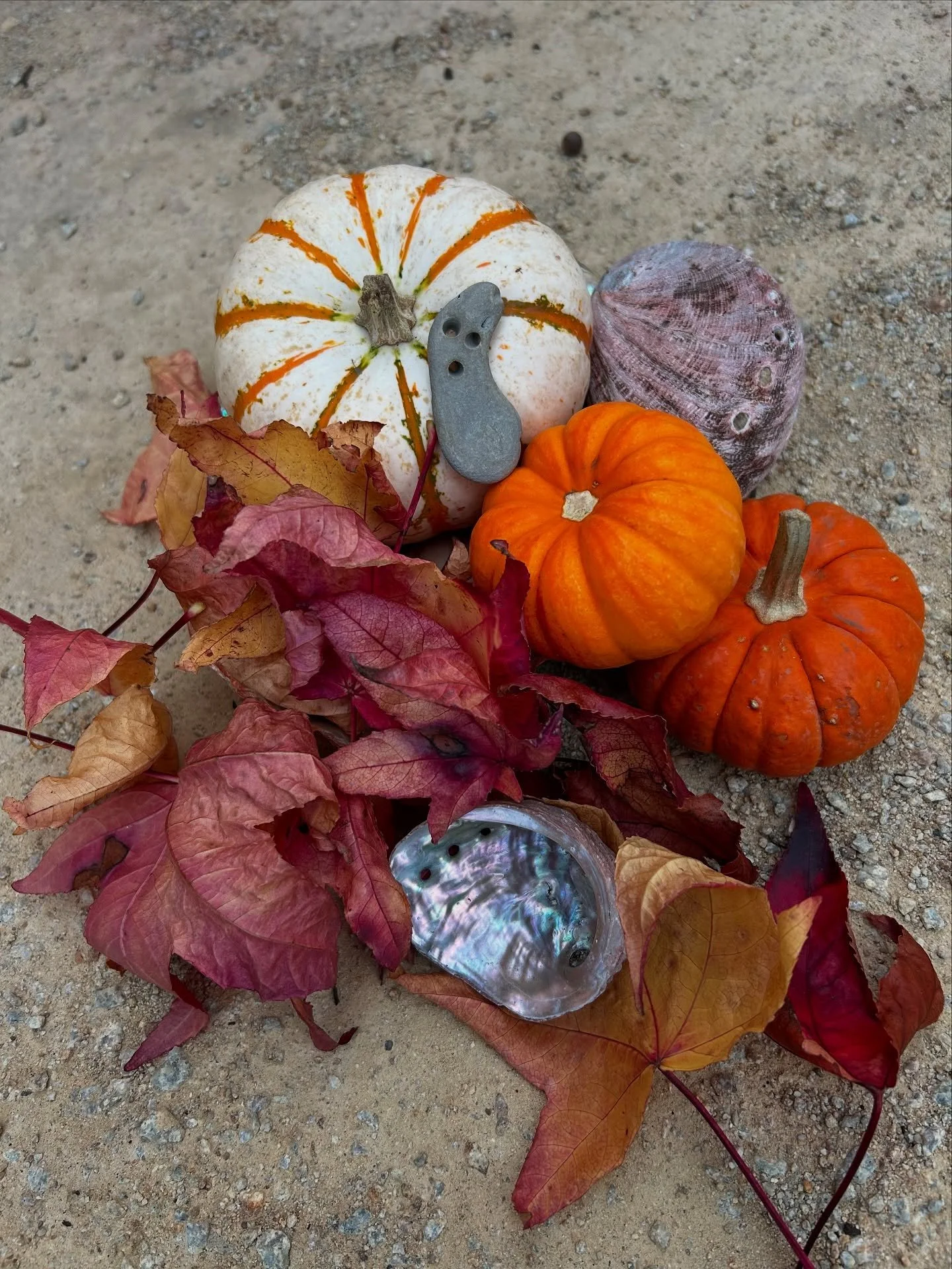 Happy Halloween everyone! 🎃👻💀
#lompoc #surfconnection