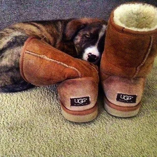 It&rsquo;s Uggdorable! This November receive a FREE bottle of UGG Spray or Shampoo with the purchase of any pair of regular priced UGGs!  No coupon necessary, just use code word UGGdorable at check out while supplies last! #lompoc #shoplocal #shopsma