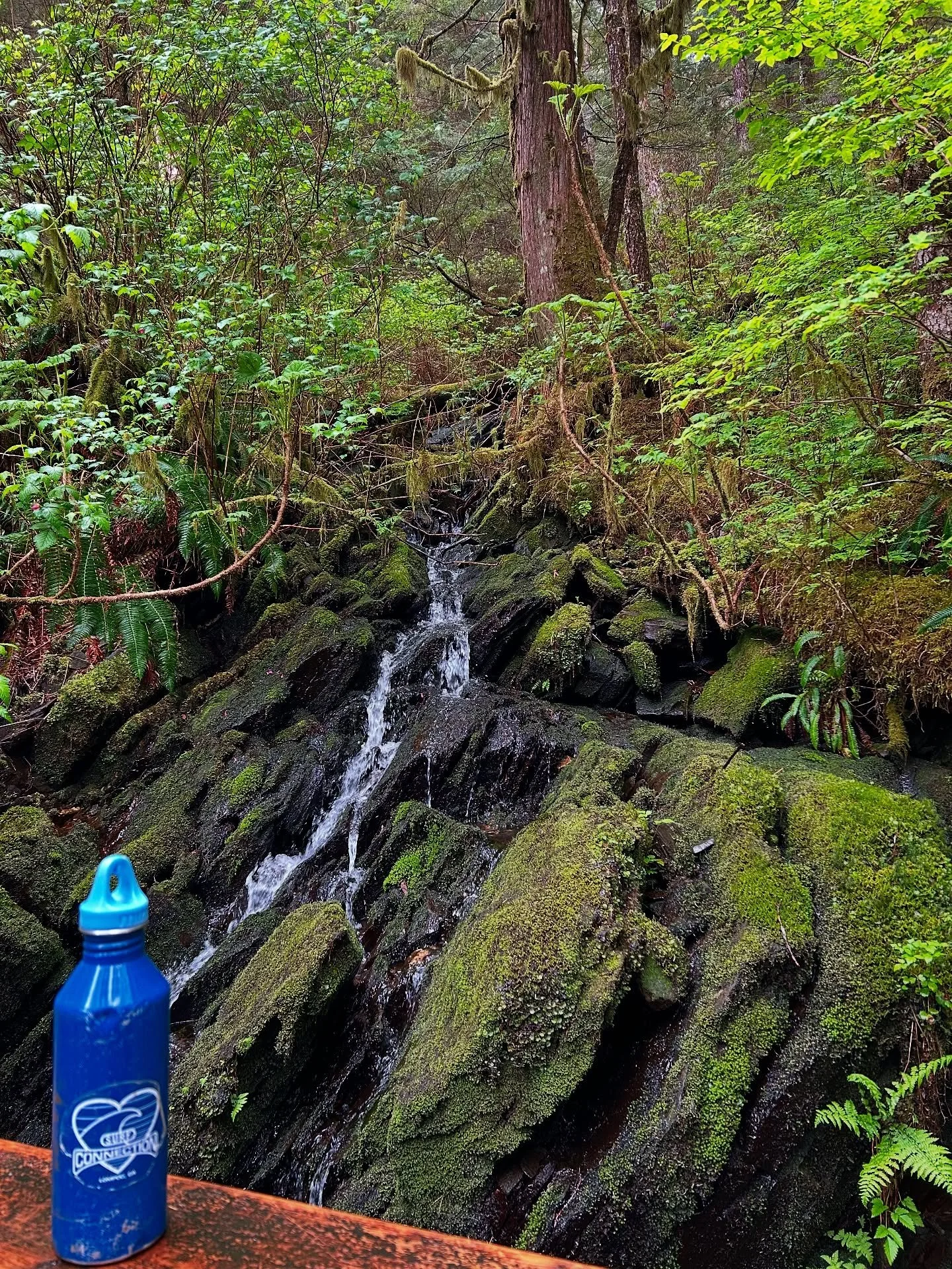 Hiking the Deer Mountain Trail in Ketchikan, Alaska and chasing waterfalls! Thanks for taking us along! #travelingtuesday #travelingwithfriends #surfconnection