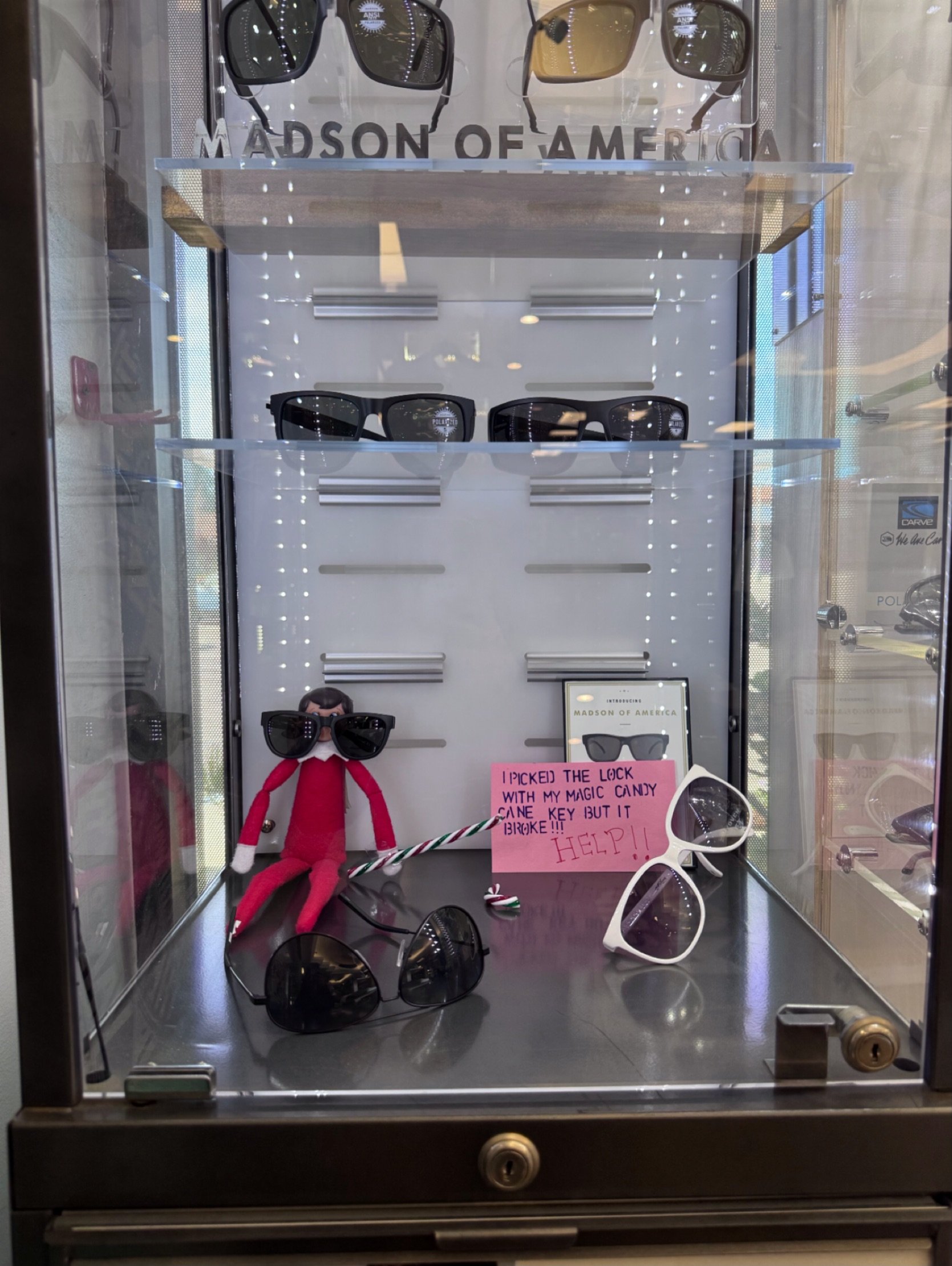 Naughty or nice? 🤔 Our Elf got a little mischievous and broke into the sunglasses case last night! 🎄😎🤭