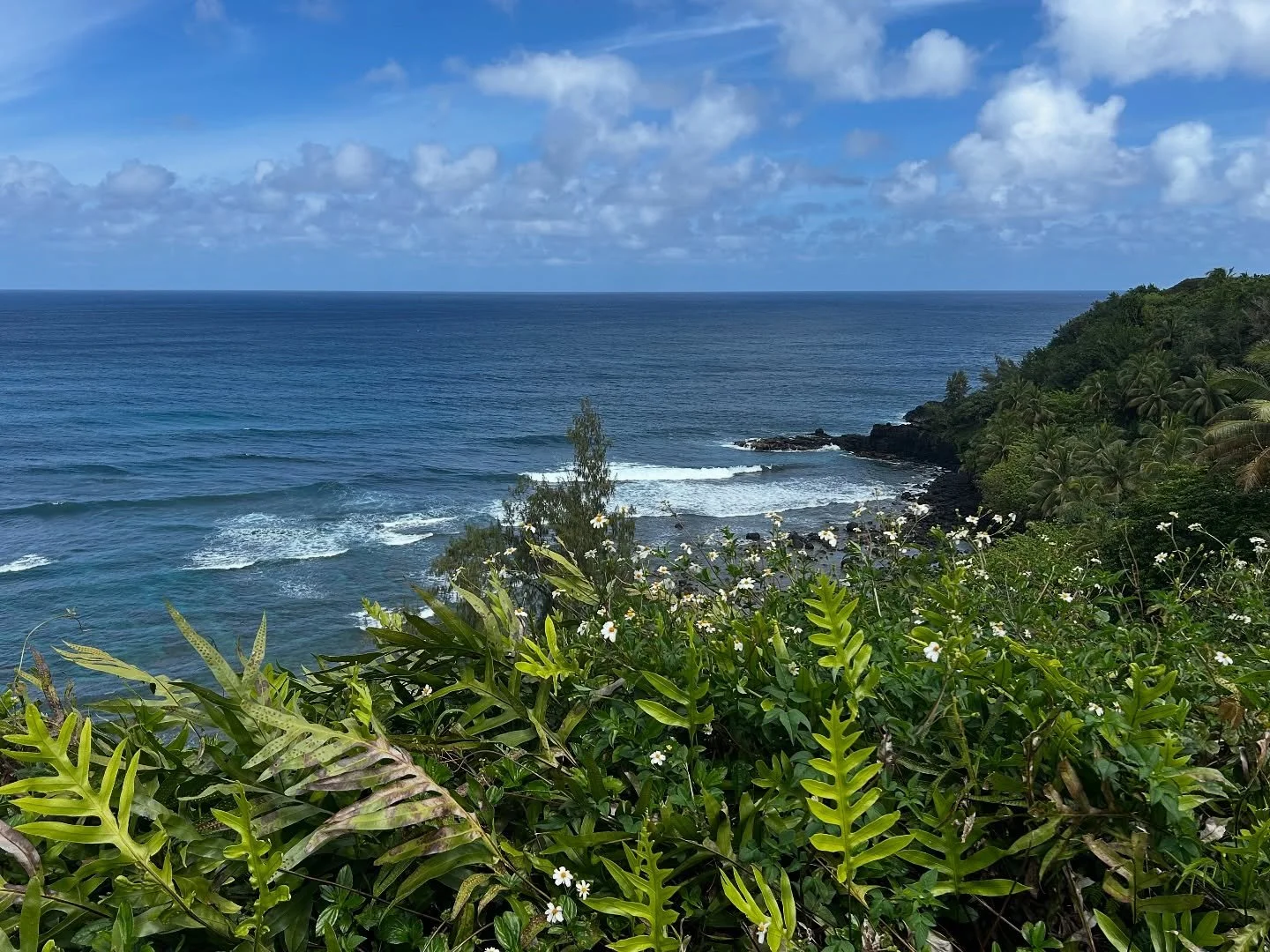 Because wildflowers are always better at the beach! Happy Wednesday! #surfconnection #wildflowerwednesday