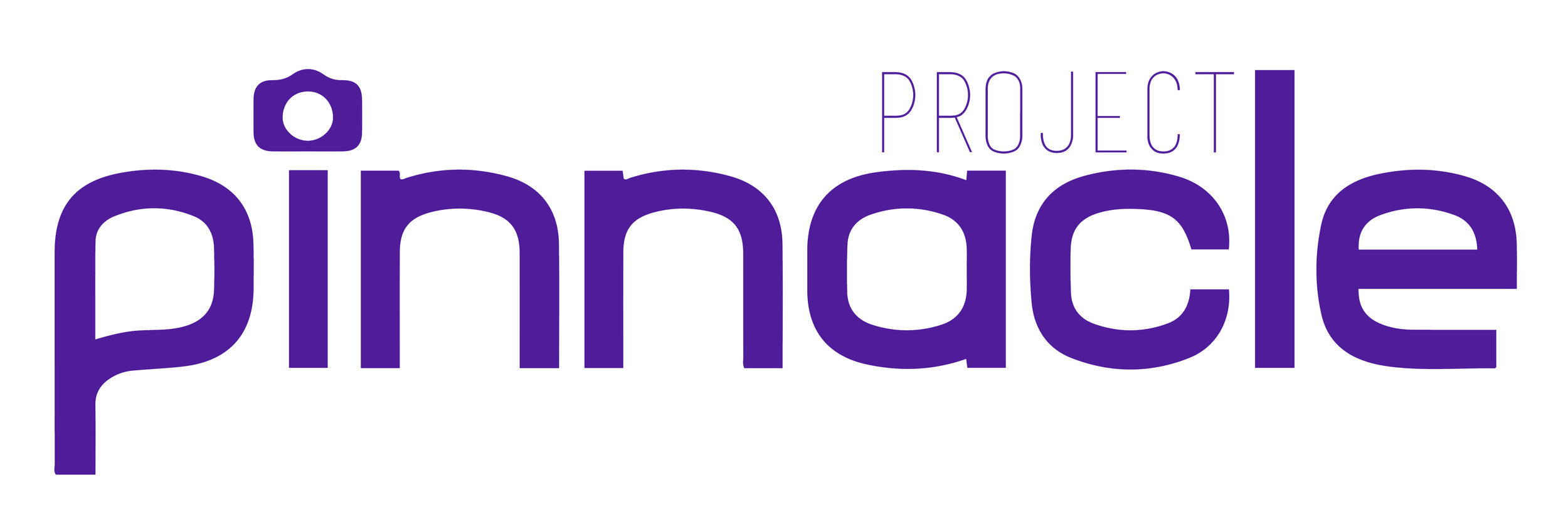 Logo Design for Project Pinnacle, part of SCAPE Accelerator 