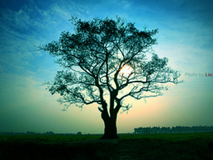 A Few (more) of My Favorite Things