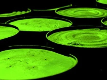 7 Signs of Toxic People Syndrome