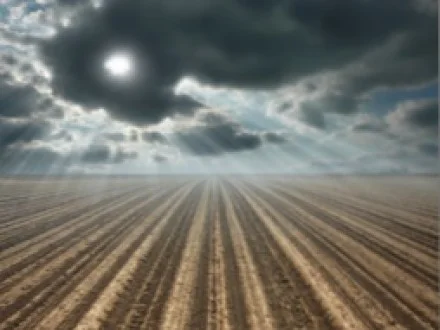 When Death Becomes You