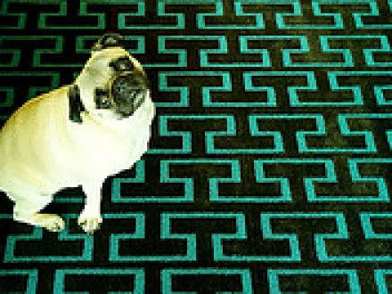 Curiosity Vs. Criticism 