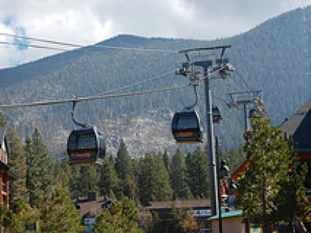 Losing My Phone, Gaining My Life