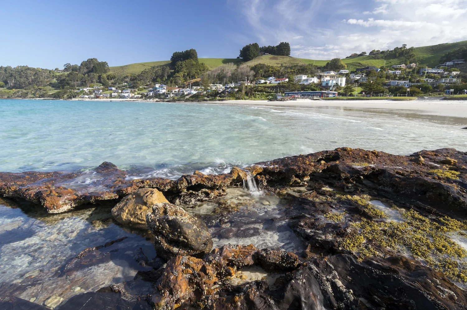 Luke Obrien small boat harbour.jpg