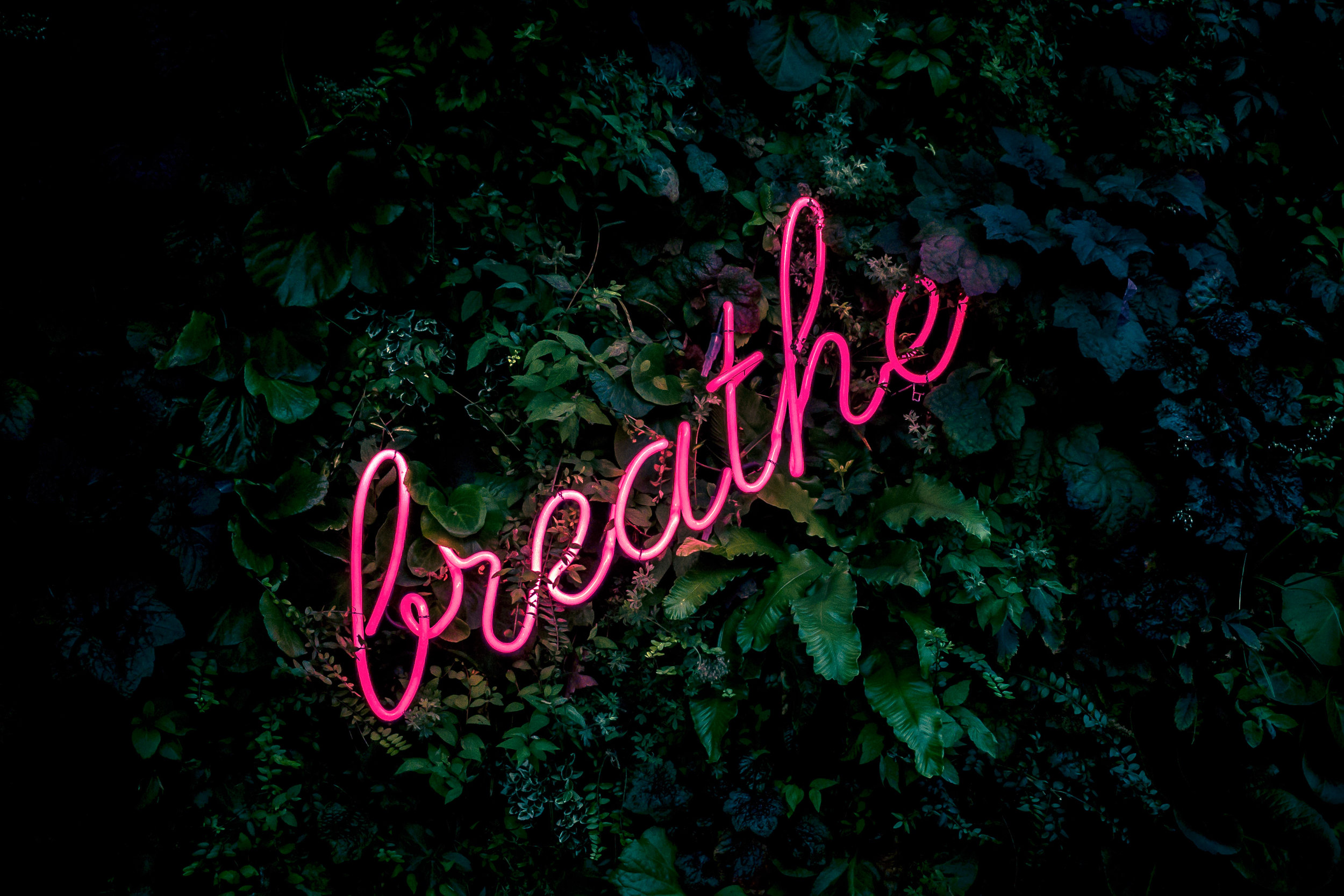 Breathe to Relax