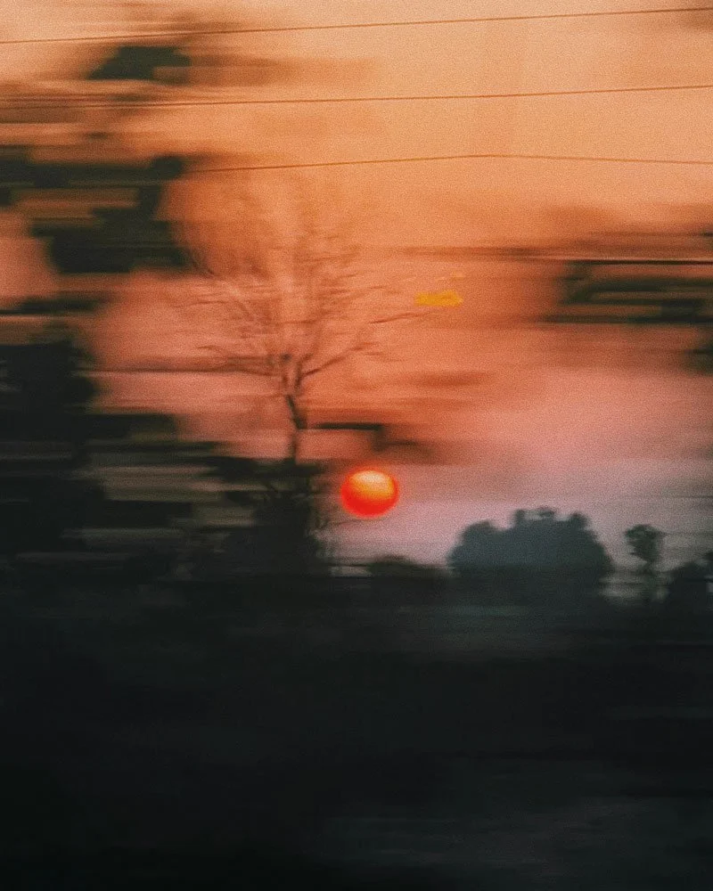 Koyla-web.jpg