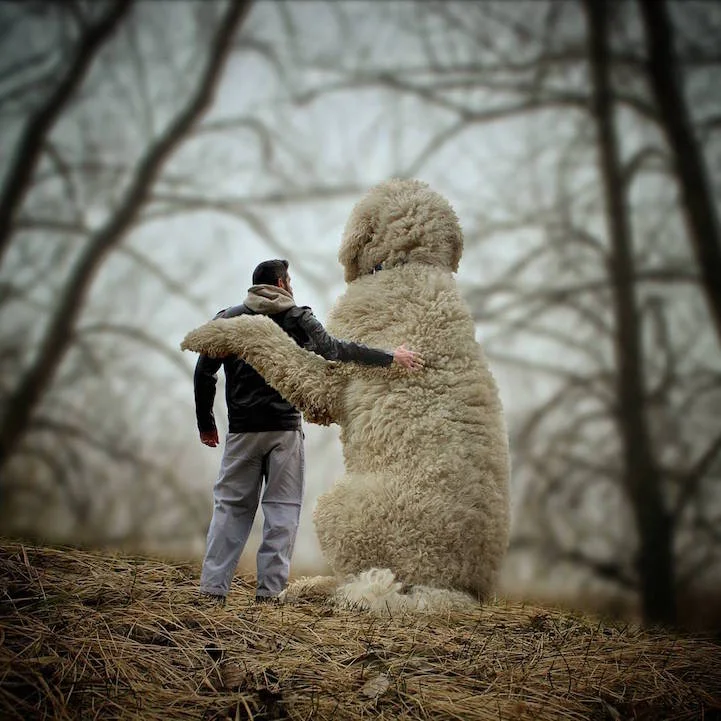 LE AVVENTURE DI UN FOTOGRAFO E DEL SUO CANE “GIGANTE”
