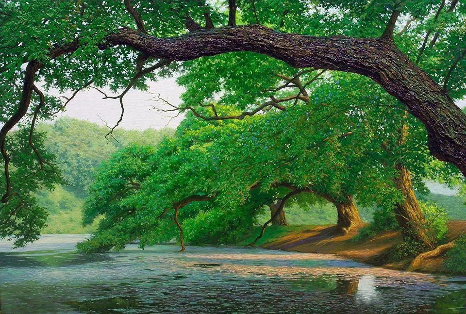 pittura an jung hwan