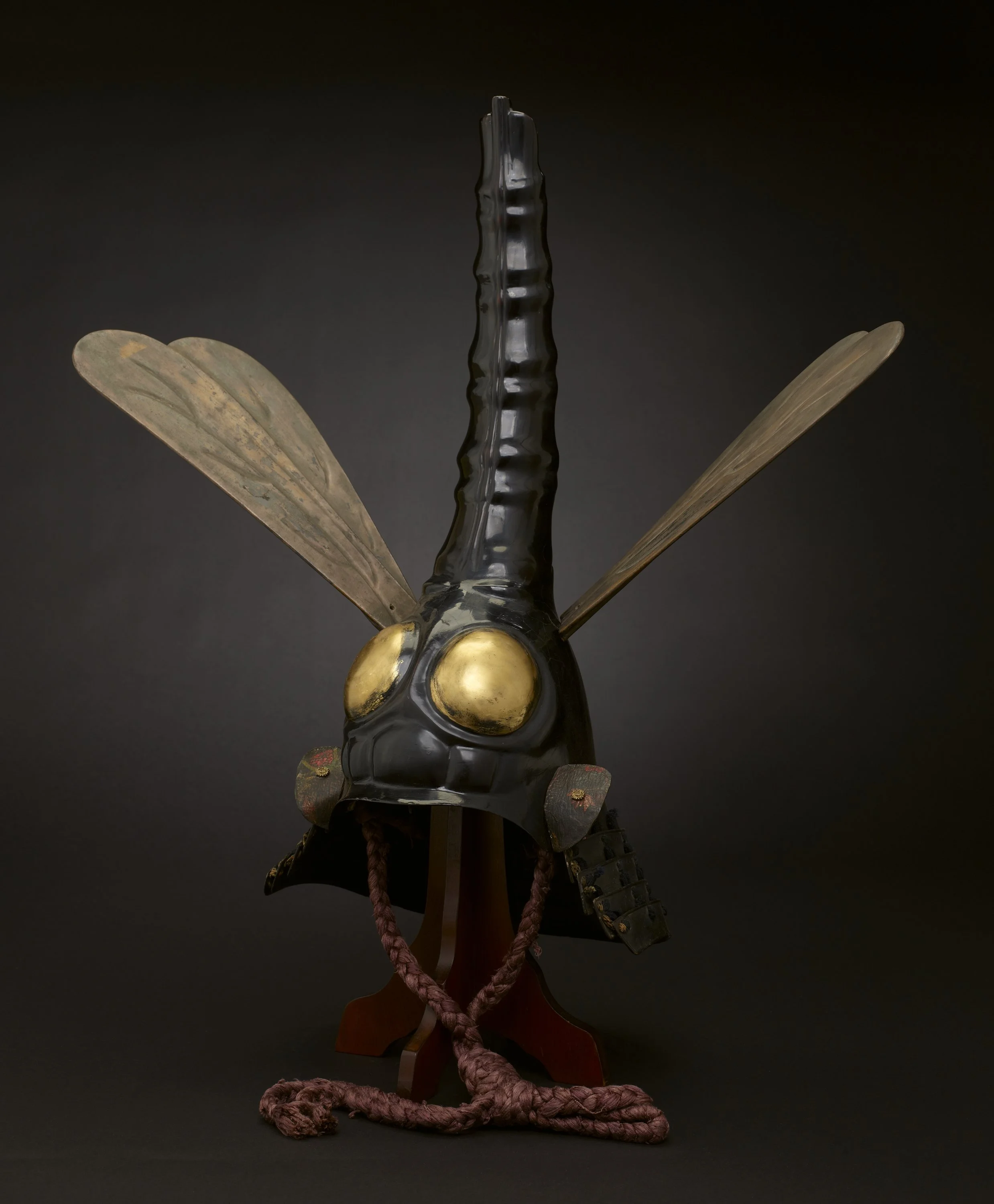 dragonfly-helmet.jpg