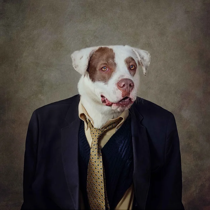 tammy-swarek-fotografie-cani-abbandonati-11.jpg