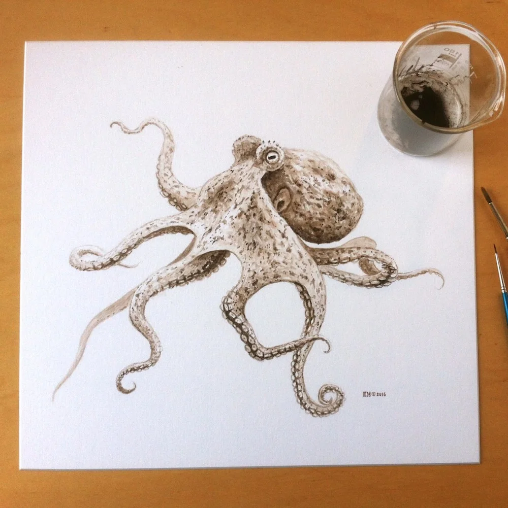 Immagine completa del disegno ad inchiostro della piovra. Photo by Esther van Hulsen