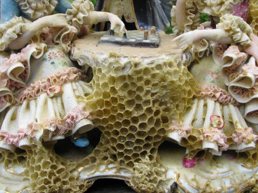 aganetha-dyck-sculture-01.jpg