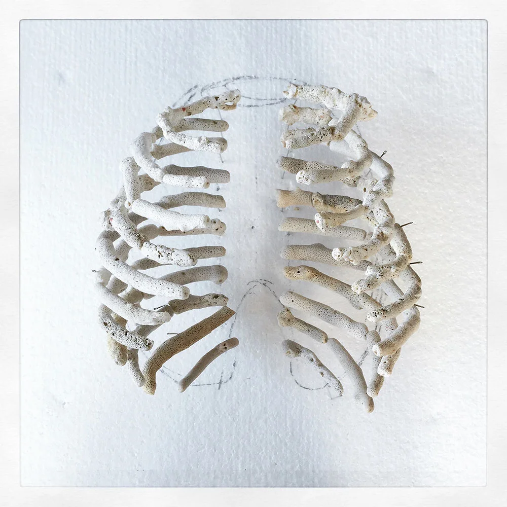 gregory-halili-sculture-corallo-01.jpg
