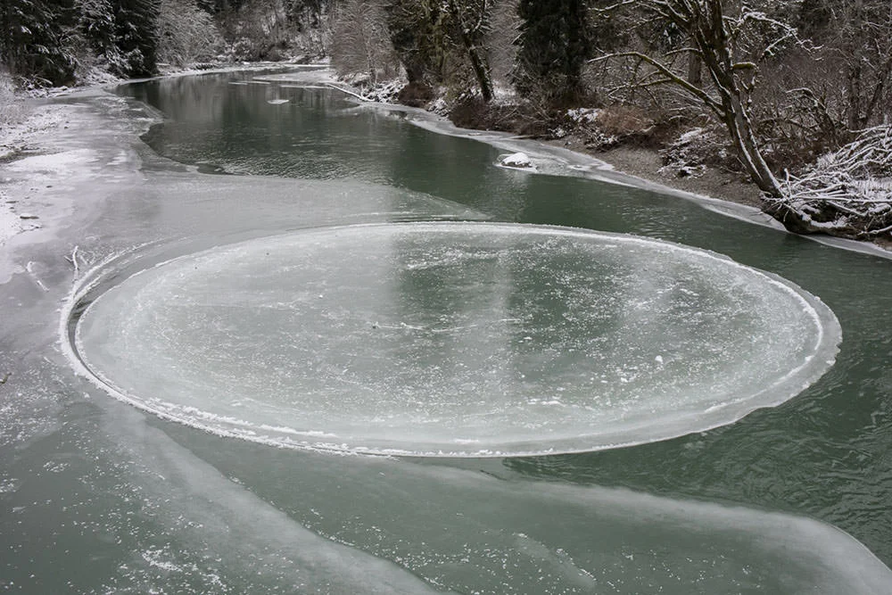 Un gigantesco cerchio nel ghiaccio appare naturalmente ma brevemente in un fiume di Seattle. La fotografa Katylyn Messer lo cattura