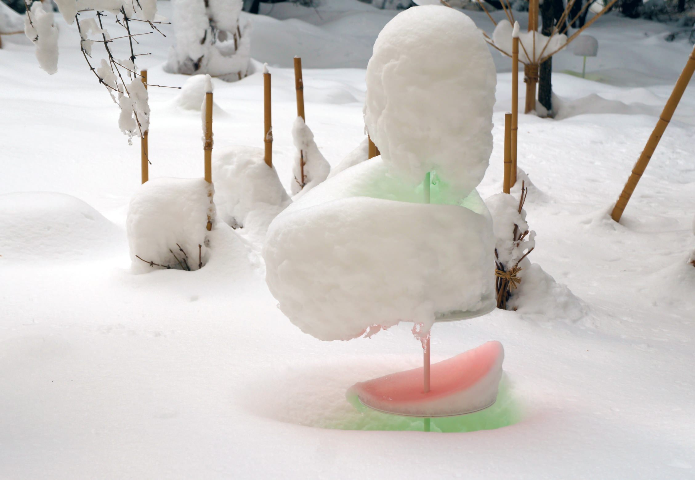 Toshihiro Shibuya, "Snow Pallet 9"