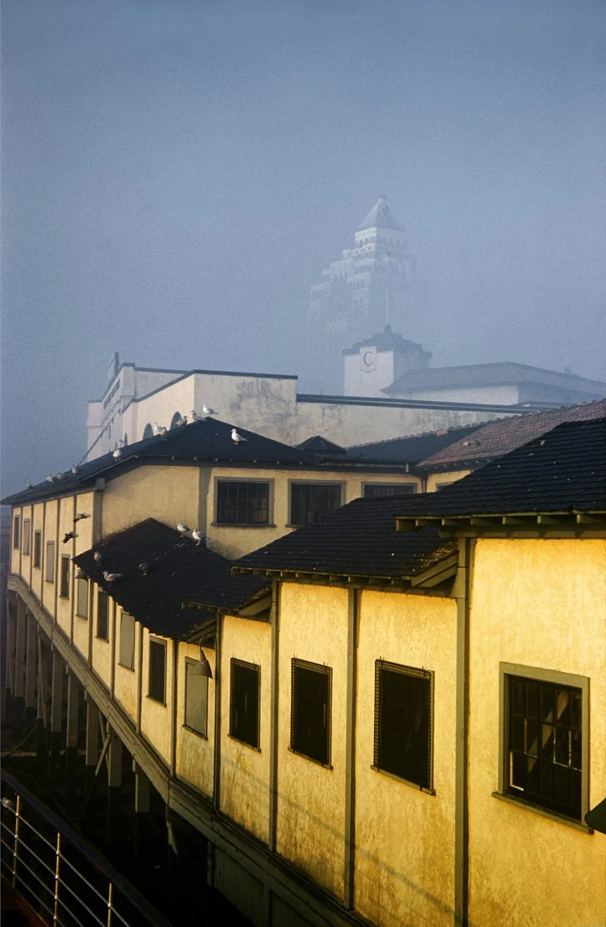 CPR Pier &amp; Marine Building, 1953 – © Fred Herzog