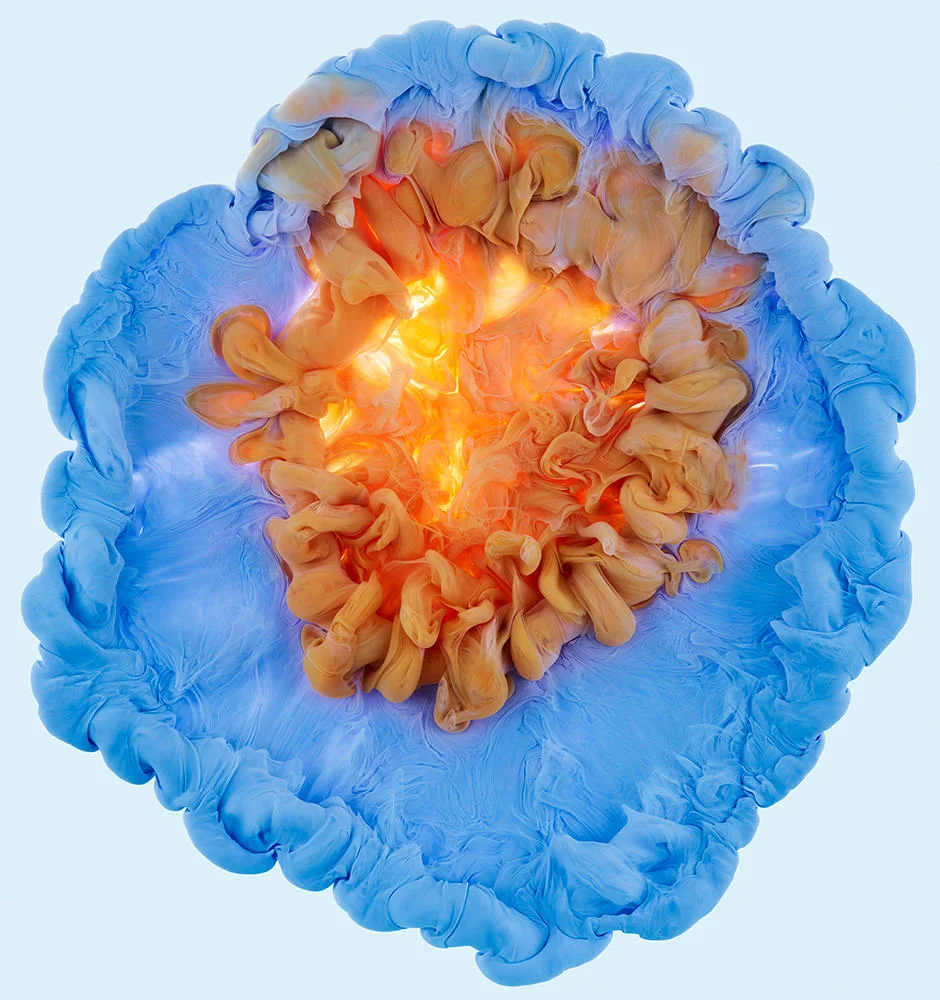 aqueus-mark-mawson-05