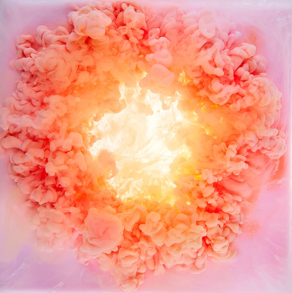 Le fotografie subacque di Mark Mawson che ritraggono rose e fioriture d’acqua colorata