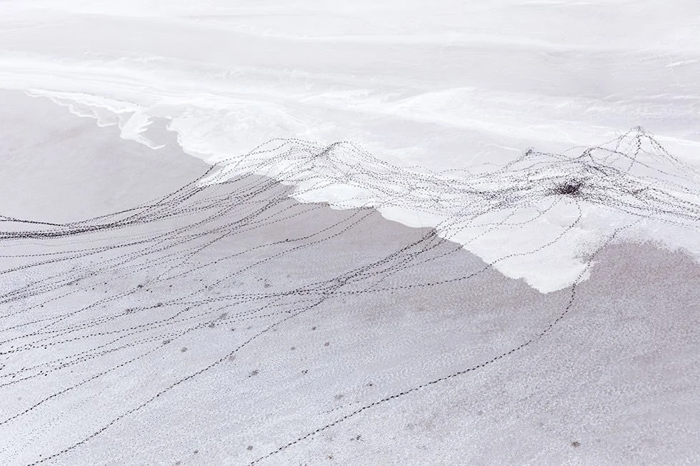 Zack Seckler, Sud Africa, fotografia aerea