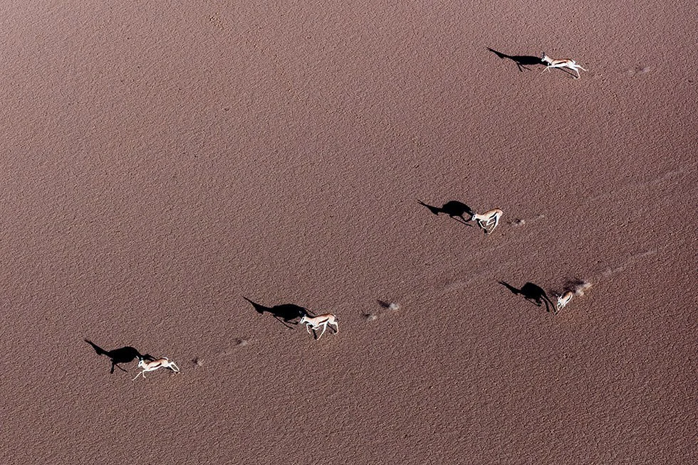 Zack Seckler, Sud Africa, fotografia aerea